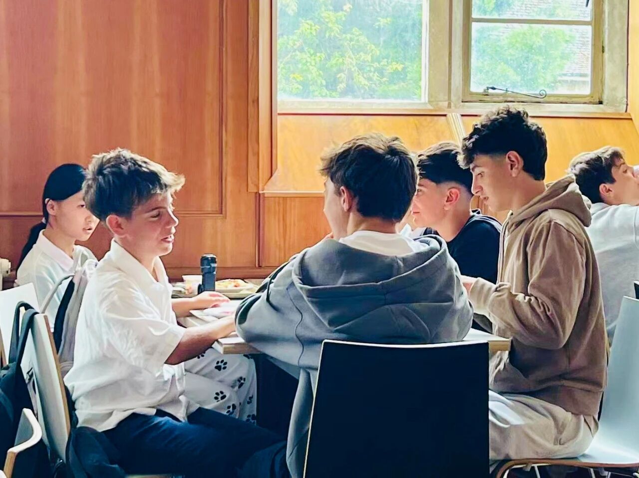 1775204025303310.jpg 5.jpg